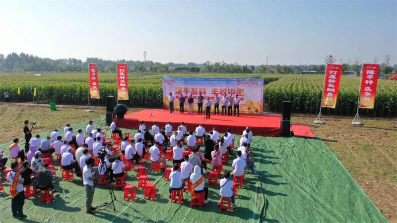 1634203488525246.jpg 33.jpg