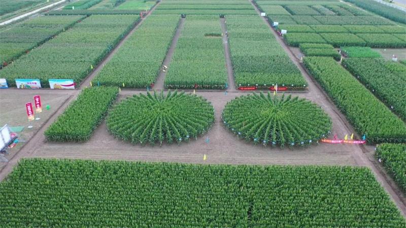 1652939529718523.jpg 103.jpg