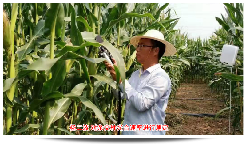 1689746461639599.png 圖片8.png