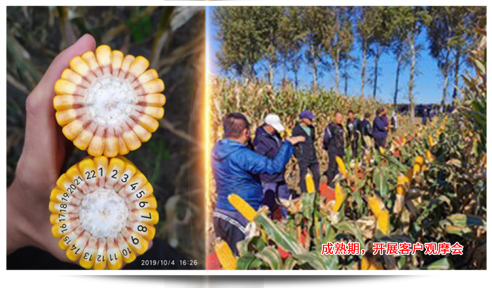 1747638519340454.png 圖片39.png